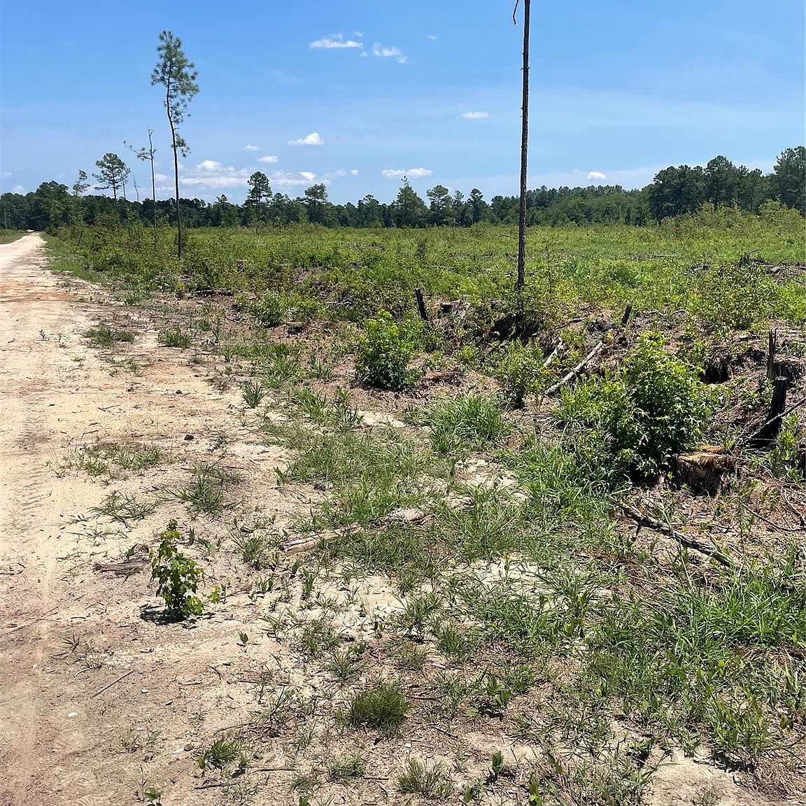 333 Porcelain Ln, Maxton, NC 28364 MLS 4068799 Zillow