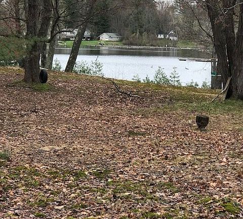 2nd image of N Second Ave