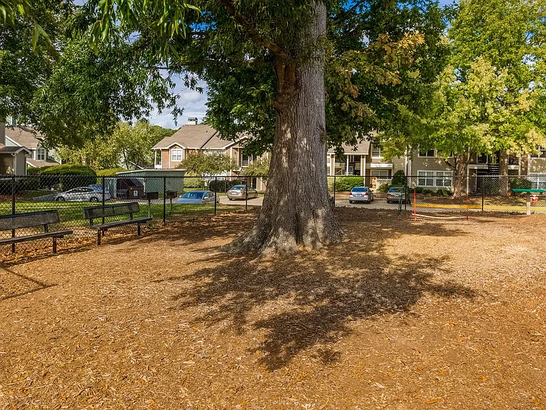 Central on the Green — Photo 14