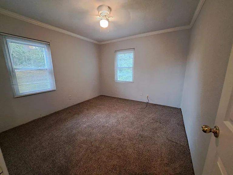 703 Alexander St #1 — Photo 3