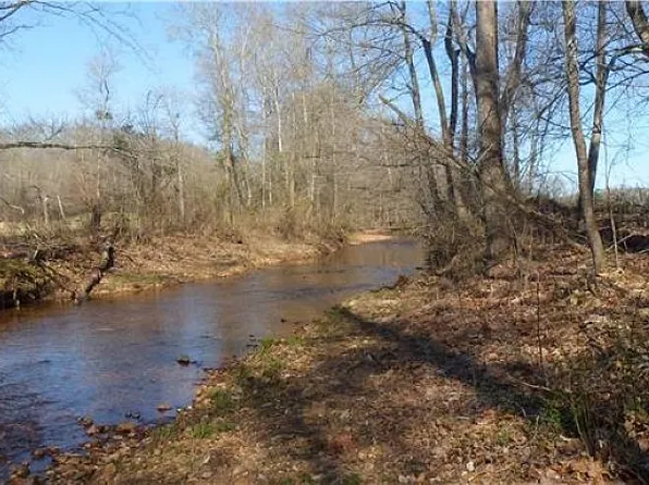 2728 Railroad Bed Rd, Iron City, TN 38463