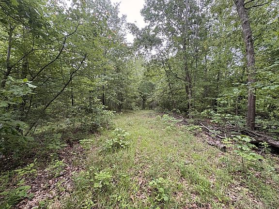 5th image of 3000 Doc Gray Rd