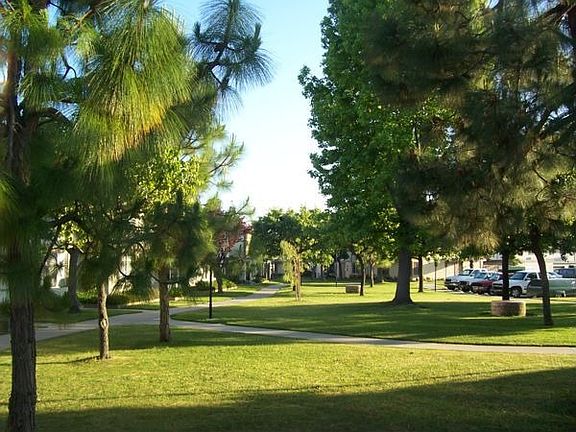 Large green belt in front