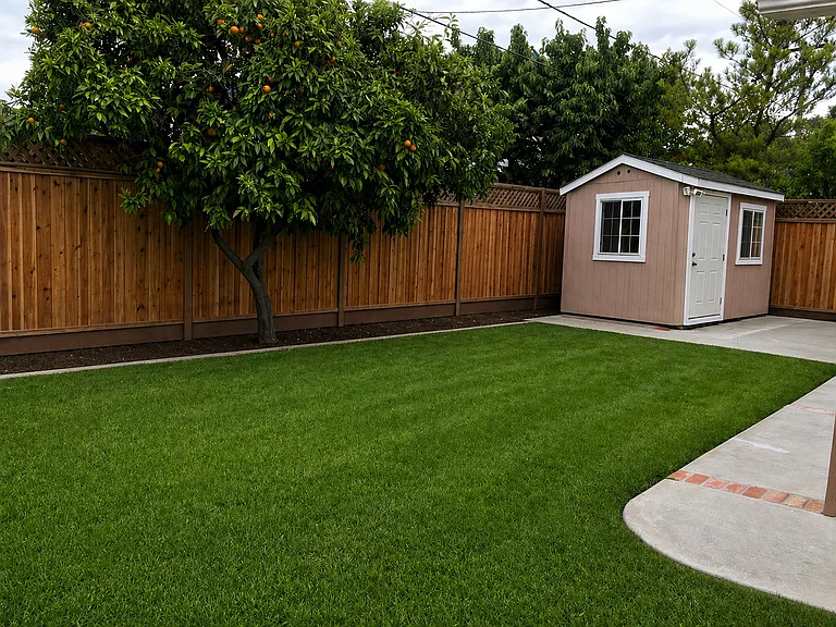 Storage shed with shelving