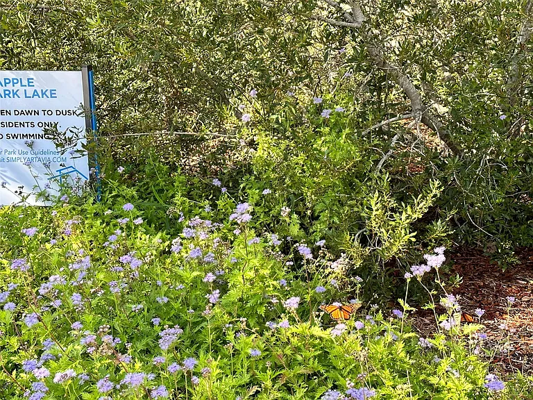 18330 Tiger Flowers Dr — Photo 40