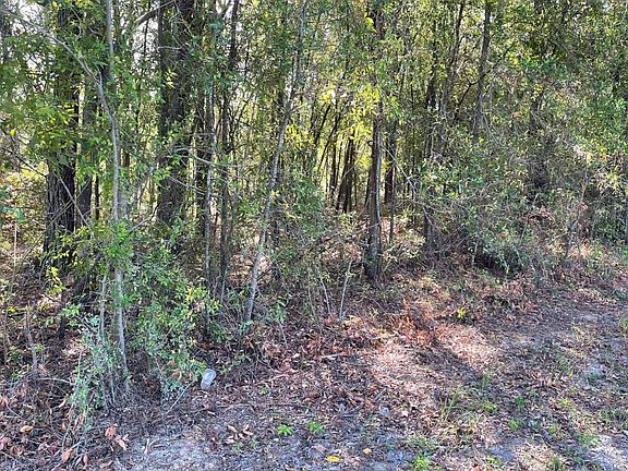 4th image of 0 177th Rd