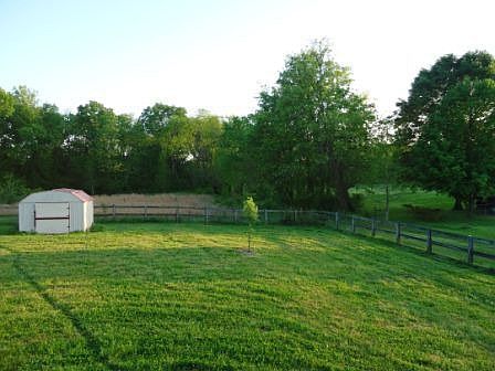 Back yard from back deck
