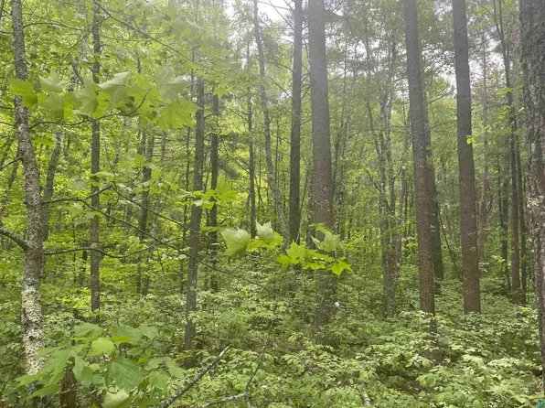 Xxx Muckwa Lake Rd, Babbitt, MN 55706