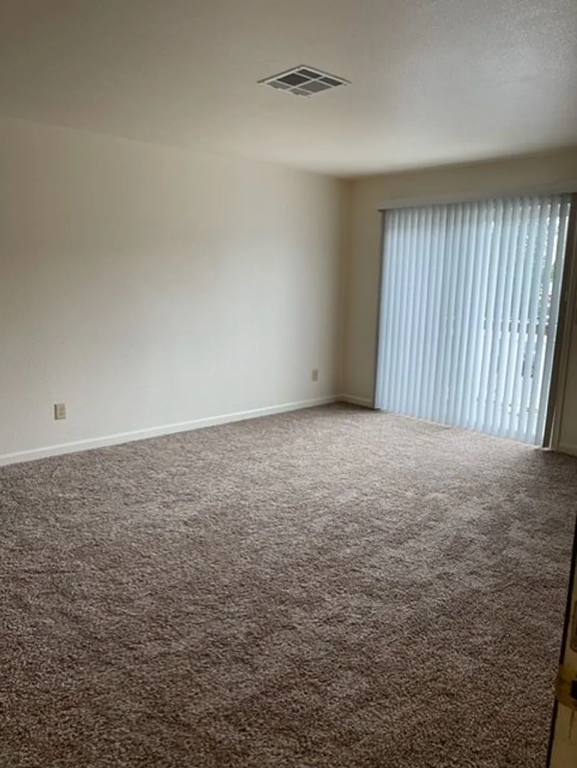 firs20826 — Photo 2