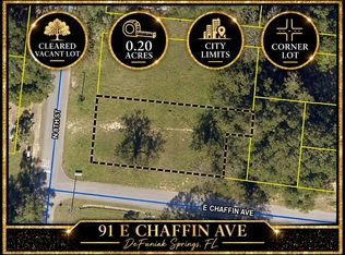 91 E Chaffin Ave, Defuniak Springs, FL 32433