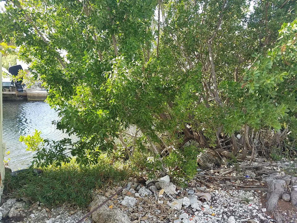 2nd image of 171 Lorelane Pl