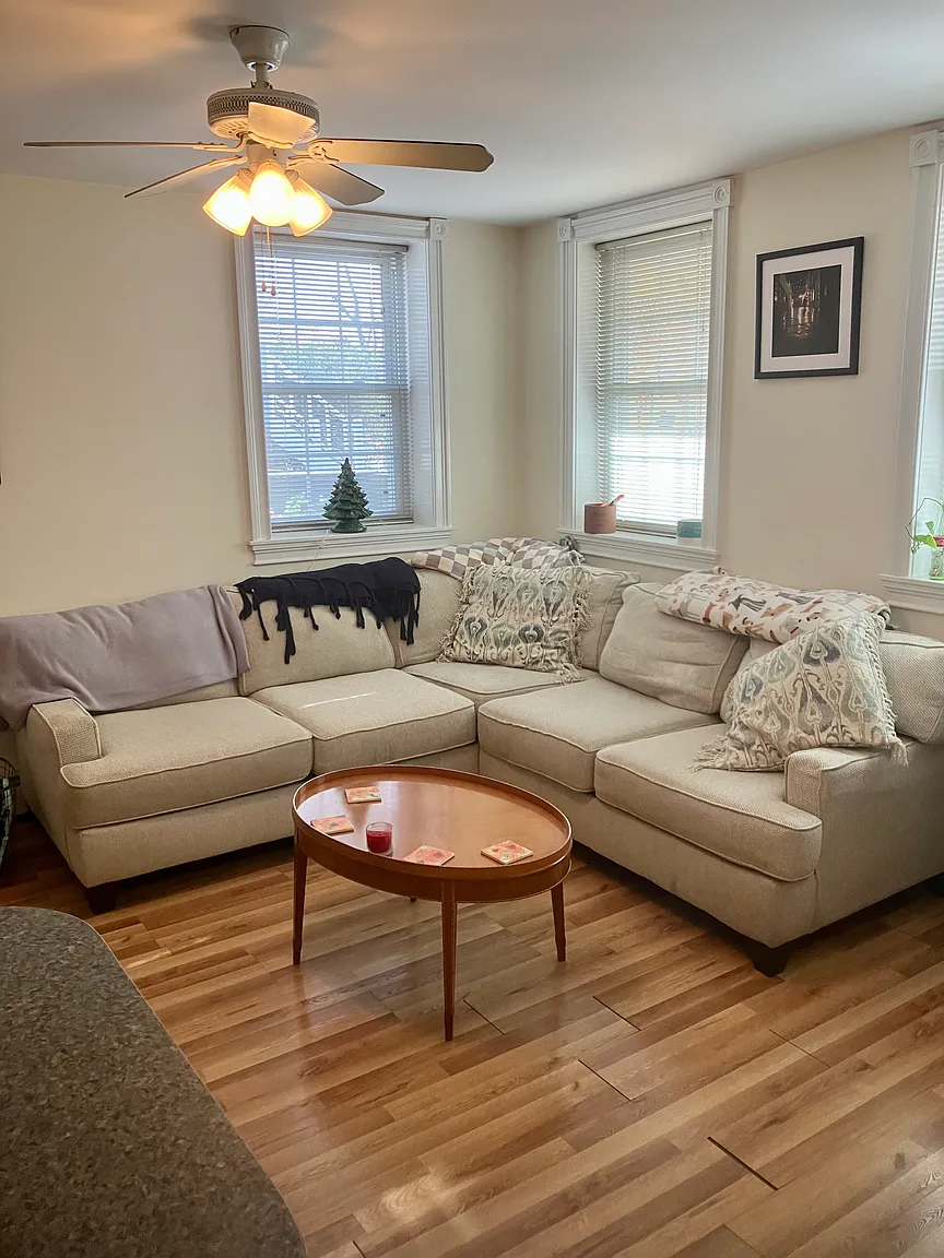 36 E Catherine St photo 1