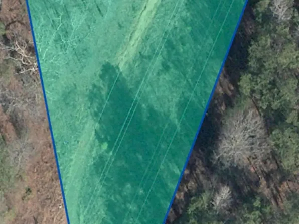 Twin Pines Dr #0, Alpine, AL 35014