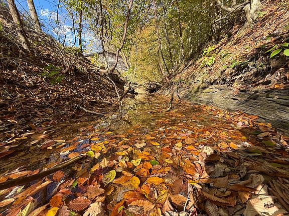 Stream flowing past the barn and the building lot