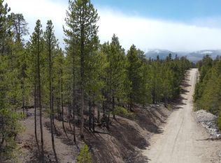 104 Spruce Drive, Twin Lakes, CO 81251