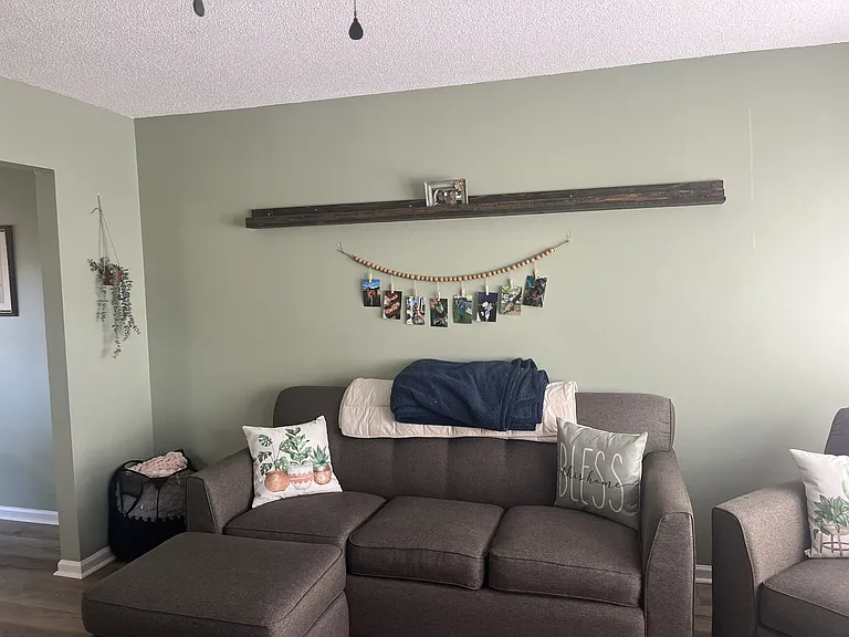 Various furnished pics