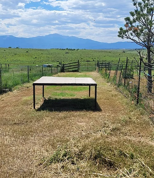 11665 S Blaney Rd — Photo 59
