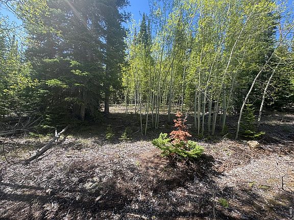3rd image of 44 Wilderness Rd