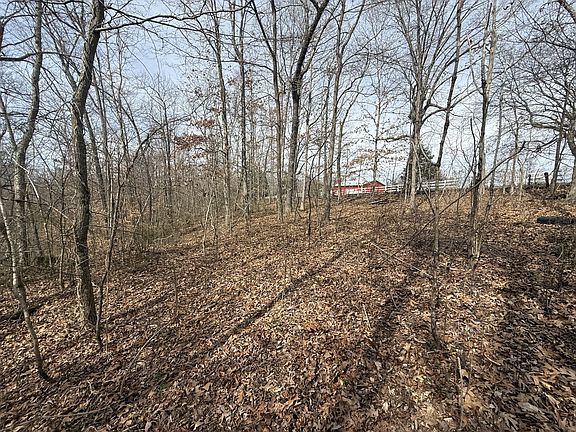 2nd image of 0 Grays Chapel Rd Lot 0