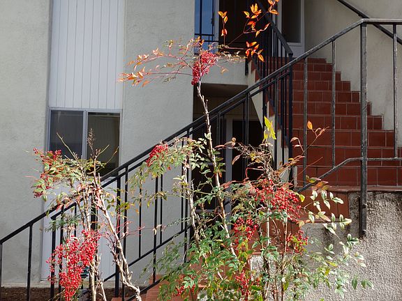 4th image of 2825 Miradero Dr #B