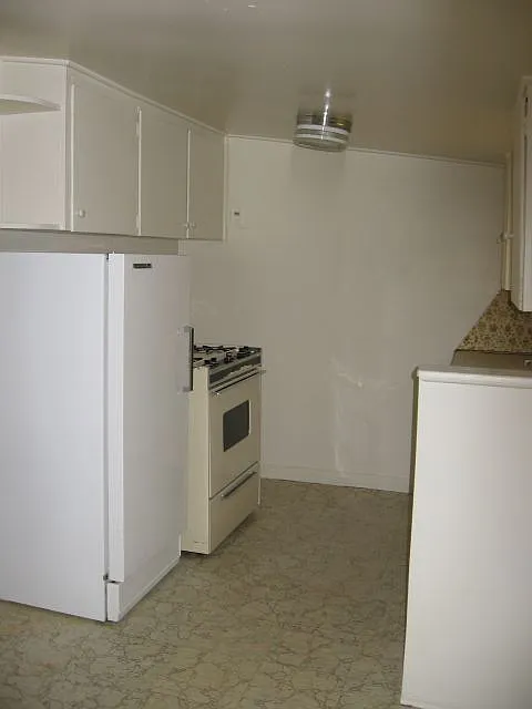 1 bed, 1.0 bath, 480 sqft, $810 — Photo 3