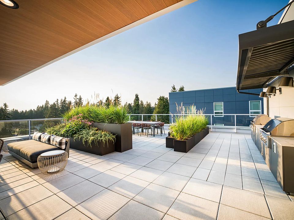 Enjoy open-air dining and grilling with a view on Modera Shoreline's rooftop terrace_perfect for weekend gatherings or quiet evenings above the trees.