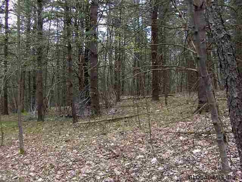 2nd image of 0 PINE HILL Road