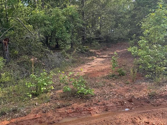 3rd image of 100 Bryant Ln
