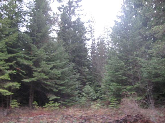 5th image of 6840 Coyote Trl
