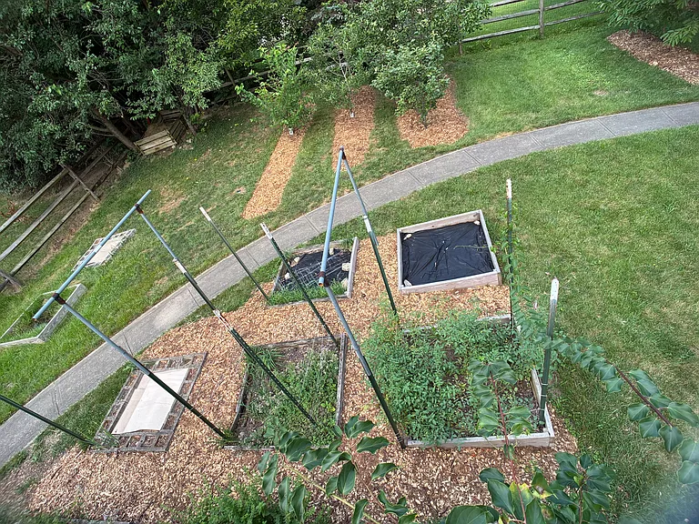 6400 Belmont Park Ct — Photo 70