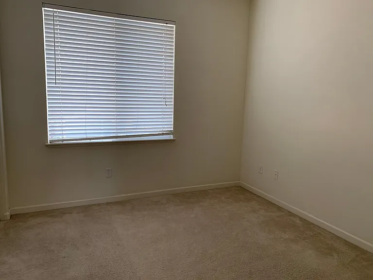22 Cymbidium Cir — Photo 15