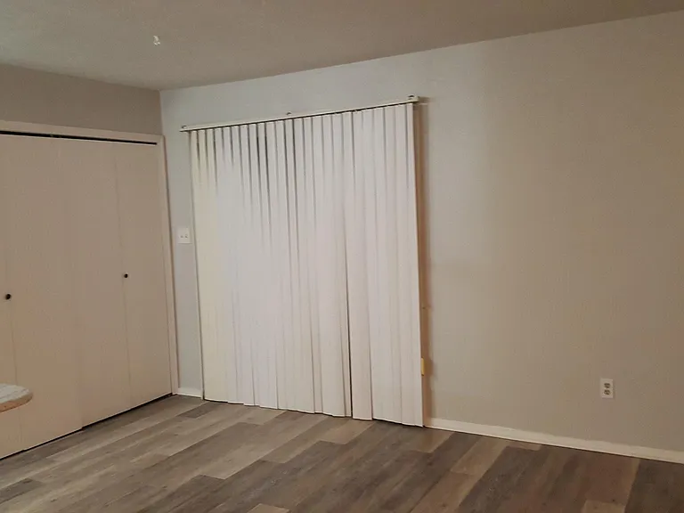 Laundry and patio doors in Dining Room
