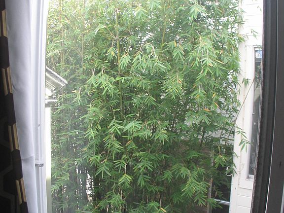 5th image of 235 Oak St #11