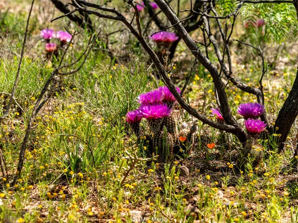 Fm 600, Haskell, TX 79521