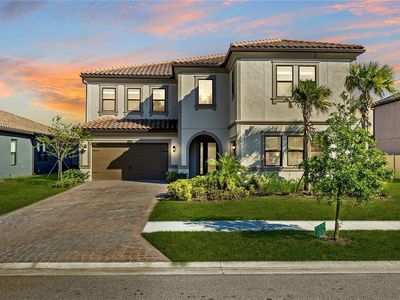 29675 Picana Ln, Wesley Chapel, FL, 33543