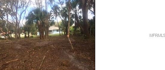 5th image of 14522 Dahlgren Ave
