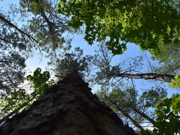 (undisclosed Address), Camden, AR 71701