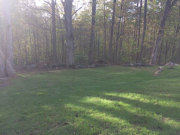 Back Yard from driveway