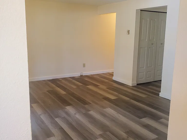 Living room flooring