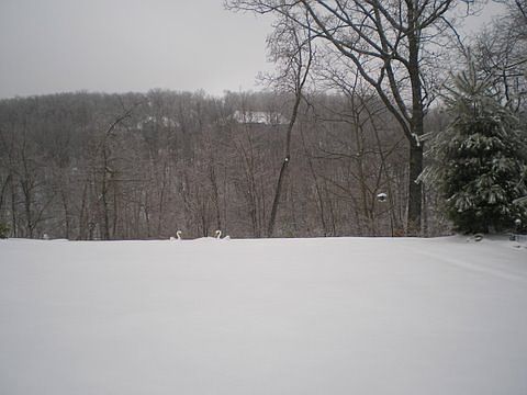 View from front of lot. 