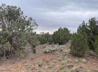 1 County Road 8117, Concho, AZ 85924