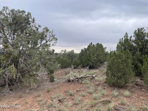 1 County Road 8117, Concho, AZ 85924