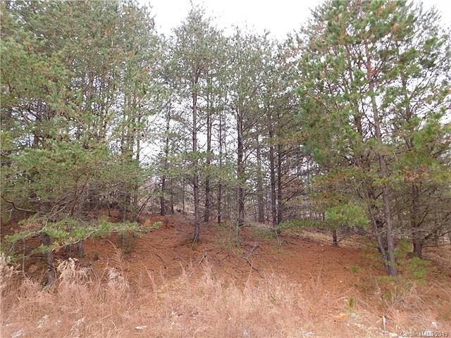 2nd image of 349 Forest Hollow Dr