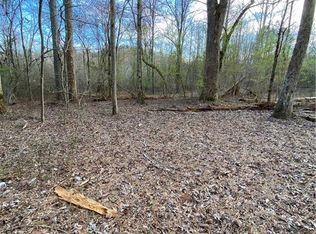 1323 Nexus Dr, Ellijay, GA 30540