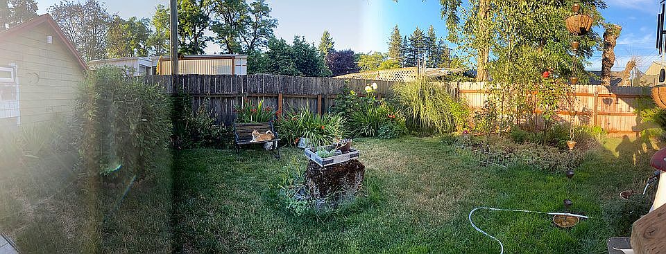 Yard of tiny house