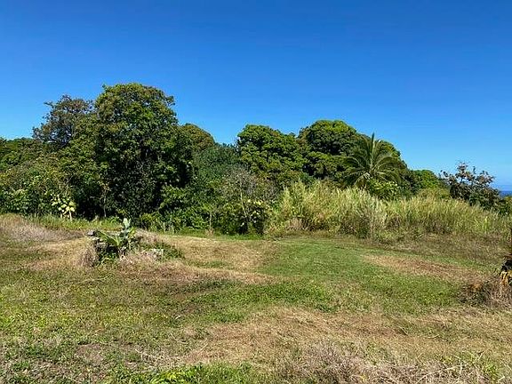 4th image of 1580 Lower Nahiku Rd