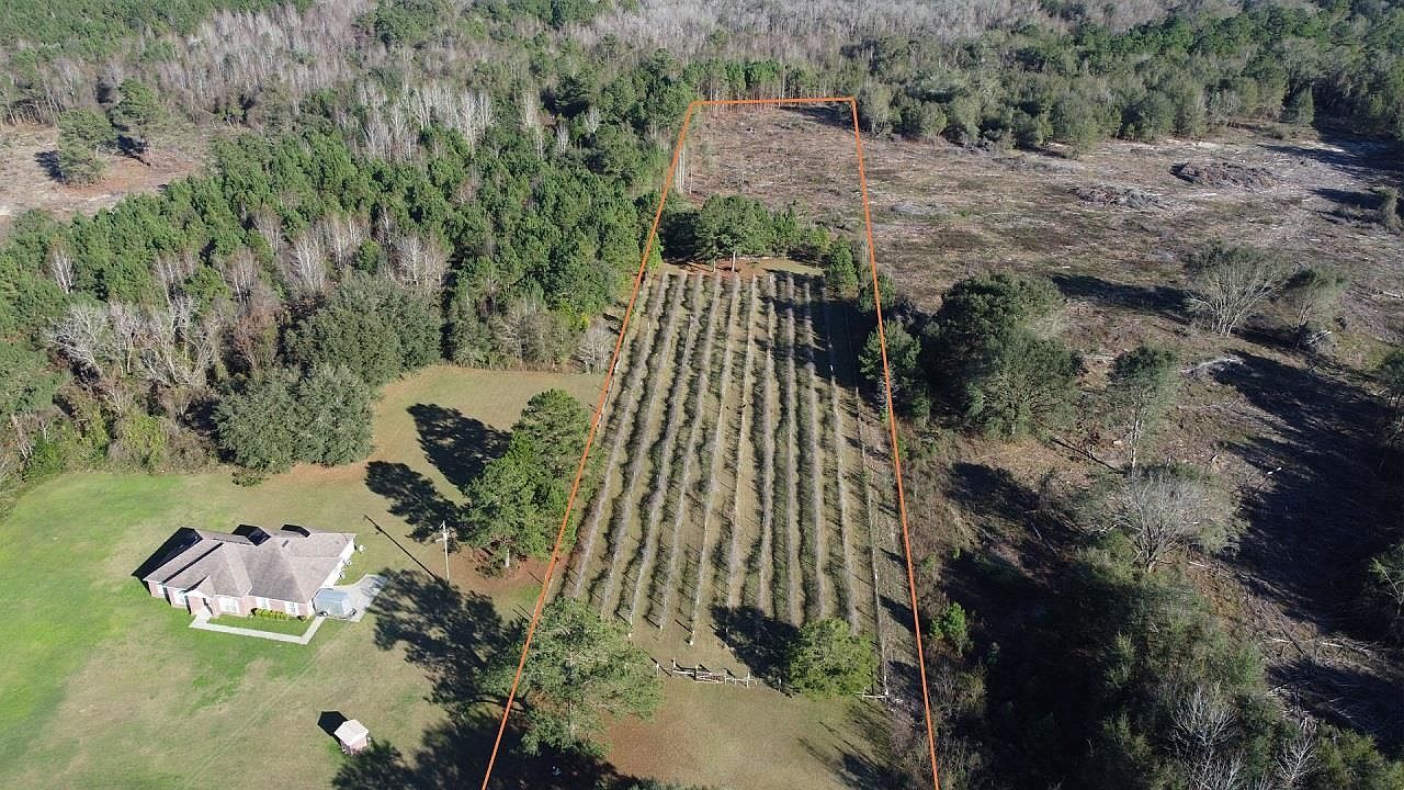 Vacant S Quitman Hwy, Greenville, FL 32331 Zillow