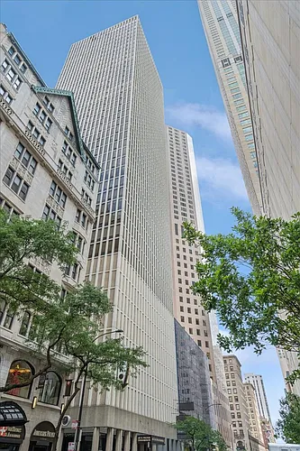 100 E Walton St Photo 1