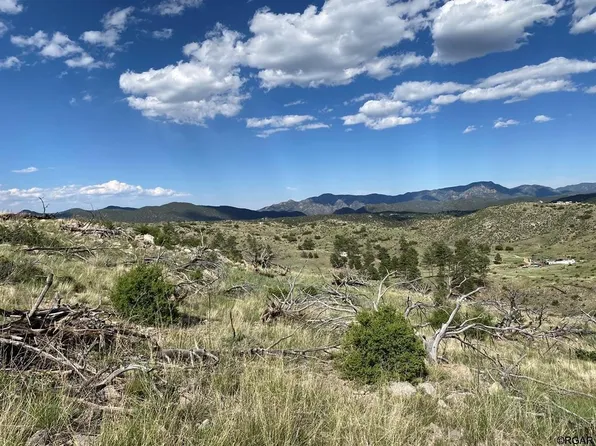 Tbd E Path, Cotopaxi, CO 81223