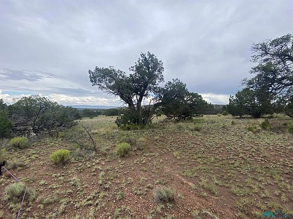 4th image of 76 Wildwood Loop